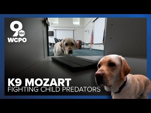 Mozart the police dog sniffs out electronics to find CSAM offenders
