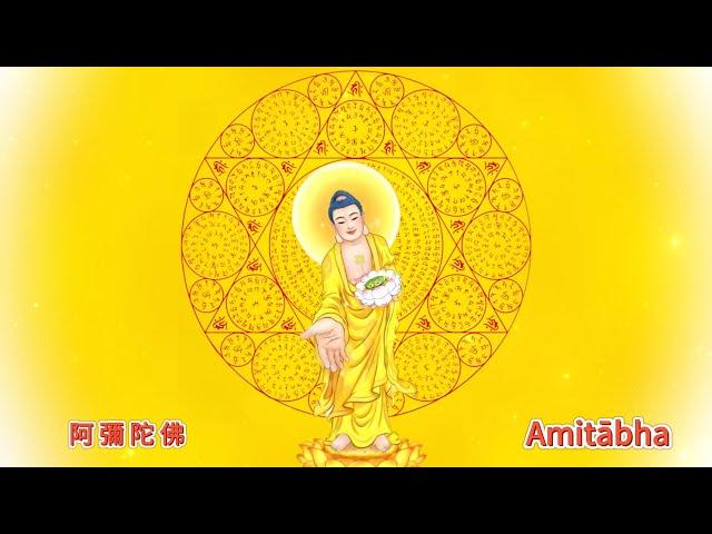 7小時天籟咒輪版 阿彌陀佛 Amitabha 아미타불 阿弥陀仏 A Di Đà Phật พระอมิตาภพุทธะ 諸佛加持無間斷，皆因自心妄想執著而不見，時時以佛號轉妄念，至心量如佛，福德如佛