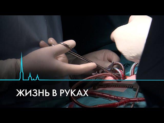 Быть хирургом. В операционной и за ее пределами