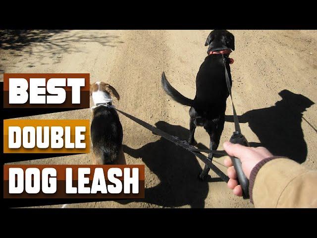 Best Double Dog Leash In 2024 - Top 10 Double Dog Leashes Review