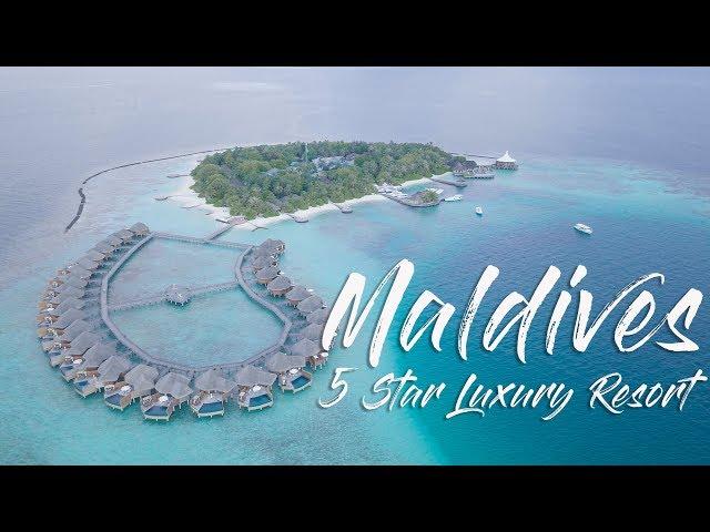 WE GOT UPGRADED! Baros MALDIVES 5 star luxury resort