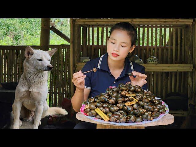 Harvest snails for sale - Snails stir-fried with lemongrass and chili l Lý Thị Sai