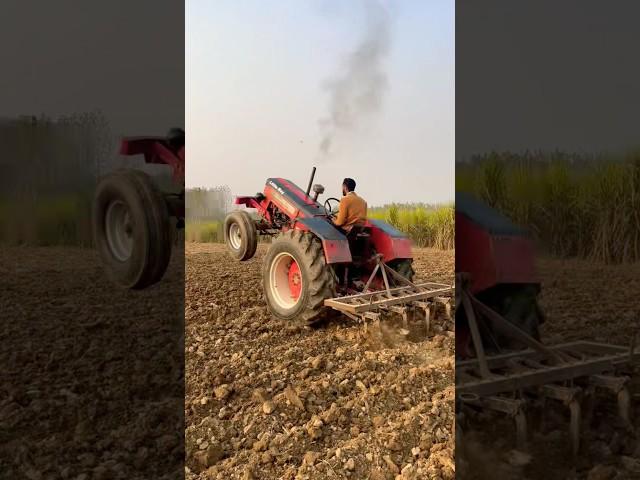 Little boy 265 #mahindra #tranding #viralvideo #viralshorts #tractor #stunt #videos #farming #shorts