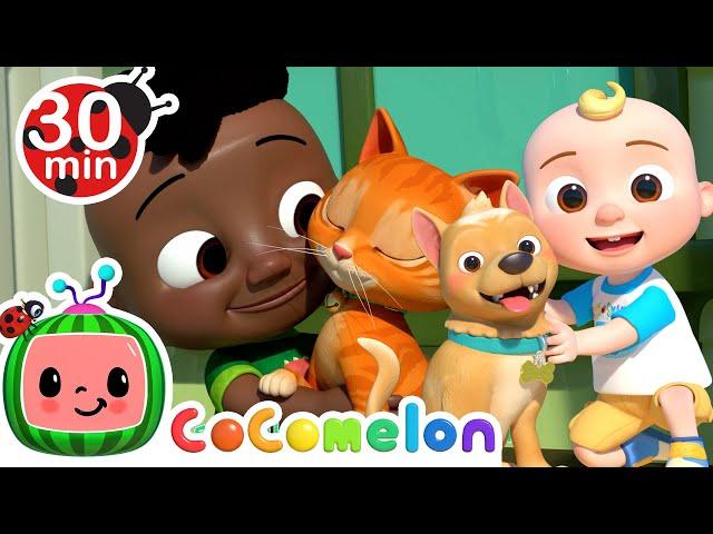 Pet Care - We Love Our Pets | CoComelon Furry Friends | Animals for Kids