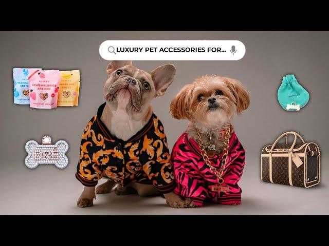 TOP 10 Best Luxury Pet Accessories for the Ultimate Pet Pampering