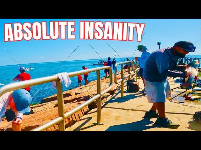 INSANE Fall Fishing JETTY ACTION Corpus Christi, Texas