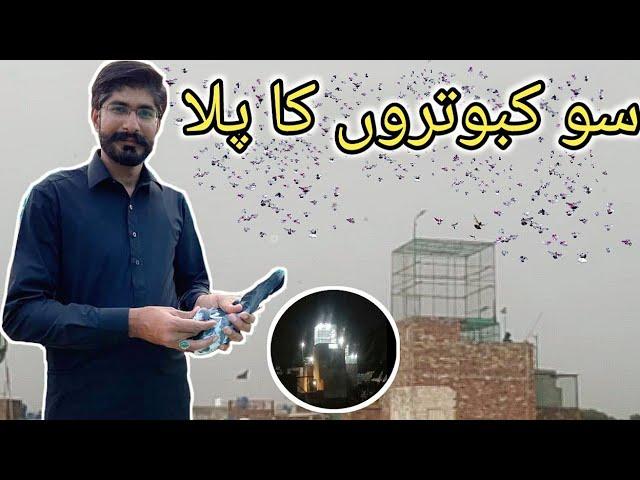 استاد علی ٹریول ایجنسی والے نے رونق لگا دی - Nasir pigeon club