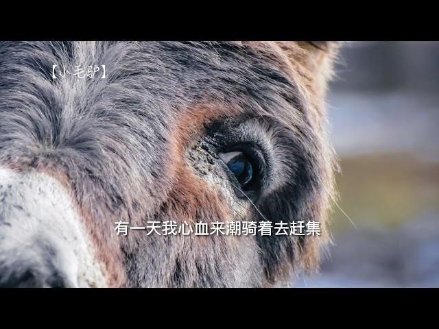 试听版 79【最受欢迎童谣一百首1】 完整版 请签购372粉丝俱乐部
