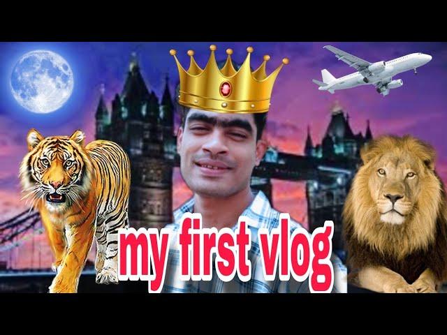 My first vlog. #myfirstvlog #myfirstvlogviraltrick  my first vlog viral