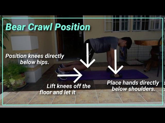 BEAR CRAWL ROWS || Exercise Demonstration for Online Personal Training ||