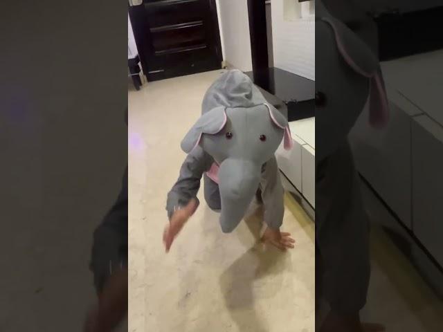 Hathi Raja #shorts #nurseryrhymes #comedyvideos #cocomelon #hathiraja #hathirajakahanchale