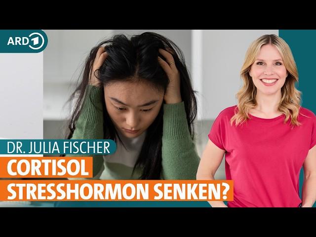 Cortisol senken: Tipps zu Ernährung und Übungen gegen Stress | Dr. Julia Fischer | ARD Gesund