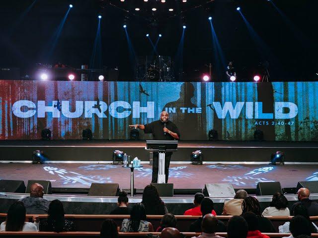 Church in the Wild | John Gray