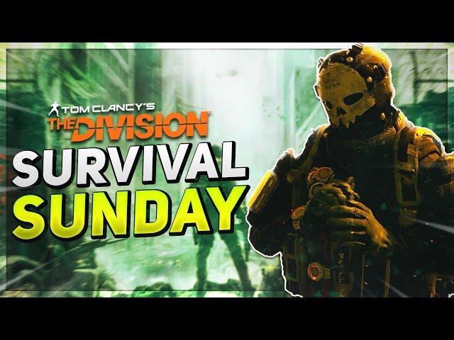 THE BEST GAME MODE IS BACK! The Division: Survival in 2024!