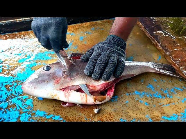 Amazing Fish Cutting Skills | Indian Ocean Fish Cutting In Maldives Fish Market