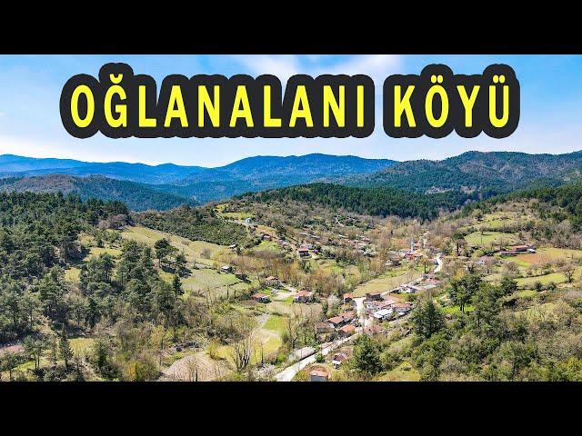 Kaz Dağları'ndaki su cenneti; Oğlanalanı Köyü