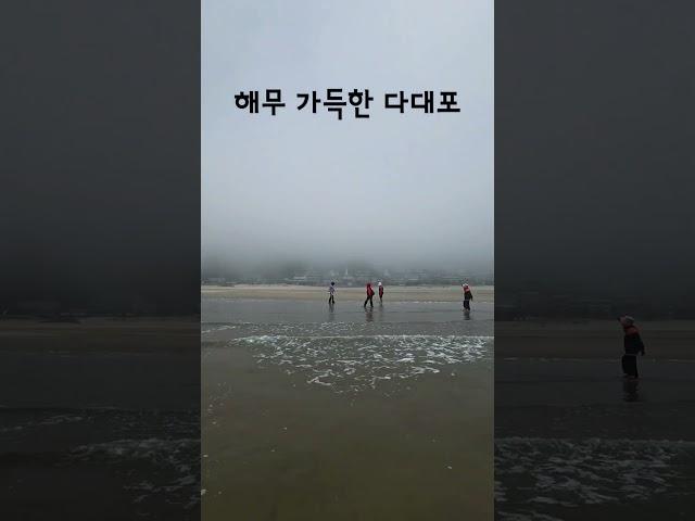 6월 18일 해무 낀 다대포 #다대포#해수욕장#해무#부산바다#오늘날씨