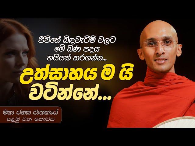 339. උත්සාහය ම යි වටින්නේ | මහා ජනක ජාතකය 1 | 2024-05-07