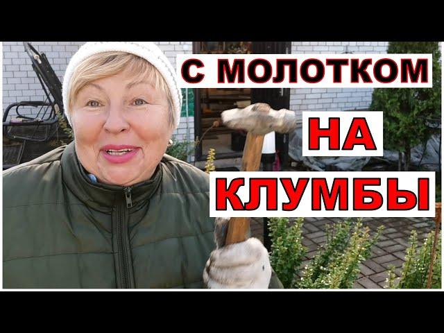 Вколочу это удобрение и забуду. Последние силы кинула - обрезаю, удобряю. Зачем и Чем?