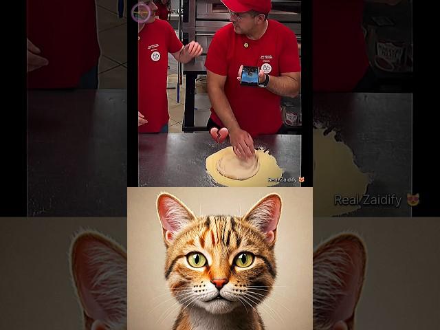 give this video title   (warning answer) #cat #meme #dance #trending