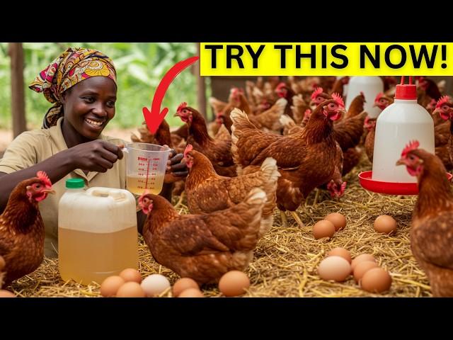 One Drop of THIS in Water = 3X More Eggs Instantly! (Apple Cider Vinegar)