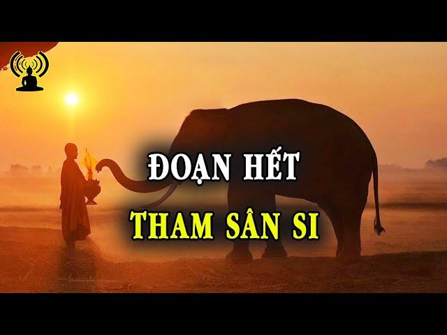 Khi còn mắc kẹt trong tham sân si, thì mọi con đường đều dẫn đến bất thiện nghiệp.