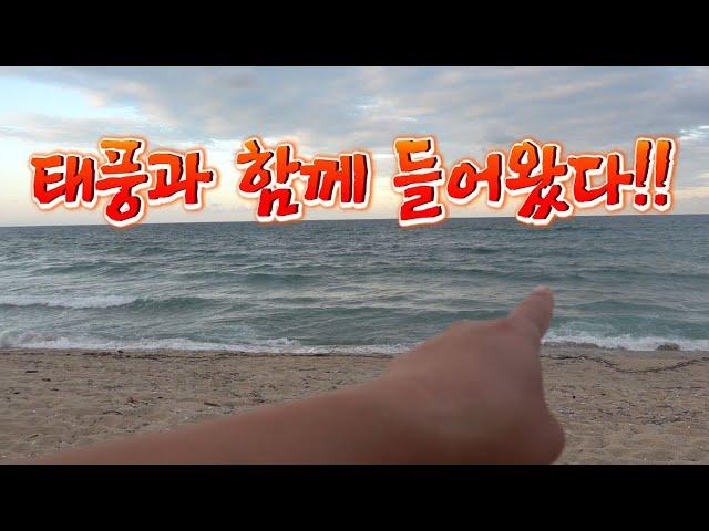 엄청난 태풍이 최고급 어종을 백사장으로 몰고왔다!!/Fishing on the beach to catch black sea bream!