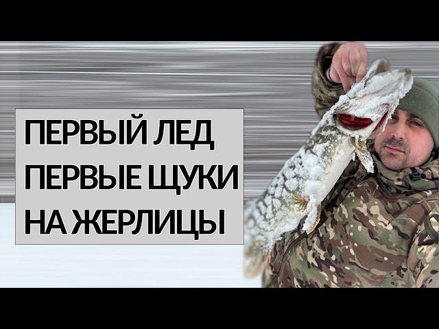 ПЕРВЫЙ ЛЕД. ПЕРВЫЕ ЩУКИ НА ЖЕРЛИЦЫ 2025