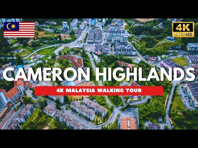 Cameron Highlands , MALAYSIA  4K Walking Tour Day and Night Tanah Rata & Brinchang [ 金马伦高原 马来西亚 ]