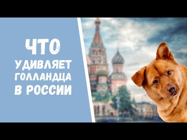 4 вещи, которых нет в Голландии, но есть в России