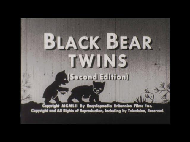 Black Bear Twins High Definition 16mm Educational Short Film