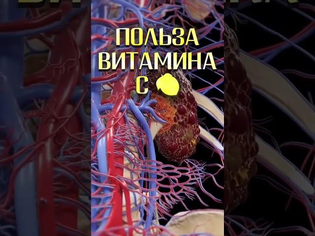 Чем полезен витамин C? #здоровье #витамины #медицина #польза #питание #витаминc #жкт