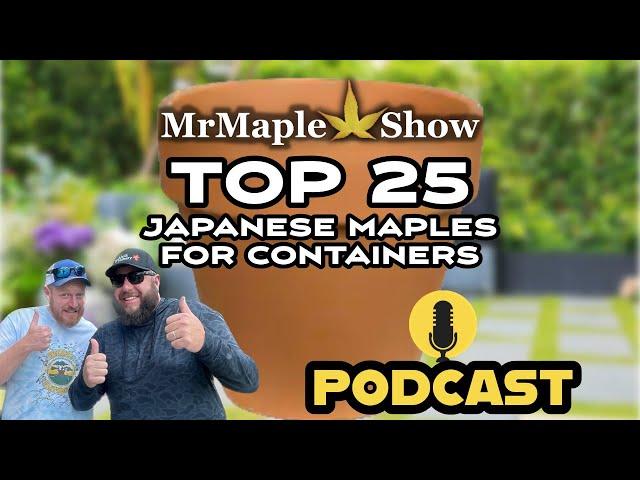 Top 25 Japanese Maples For Containers | MrMaple Show Podcast