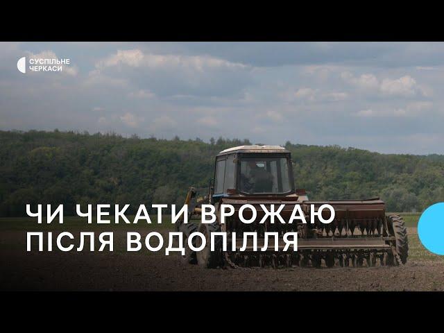 Посівна після водопілля: на який врожай сподіваються черкаські фермери