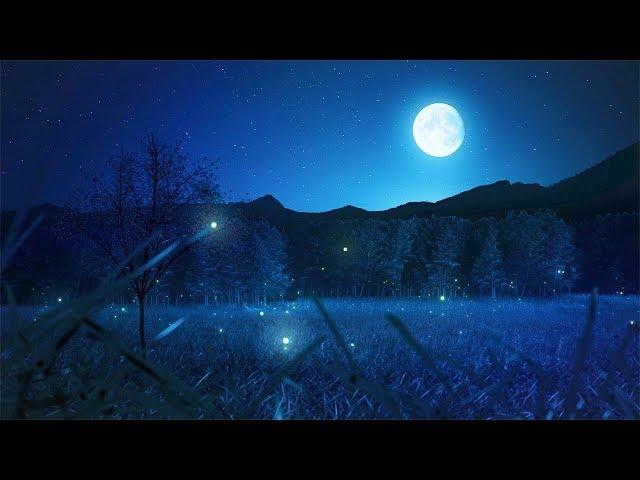 Relaxing Sleep Music and Night Nature Sounds: Soft Crickets, Beautiful Piano, Deep Sleep Music