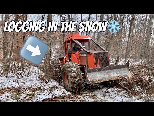 LOGGING AFTER FIRST SNOW OF THE YEAR