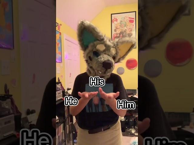 My pronouns!!  #dinomask #furries #fursuit #fursuitmaker #antizoo #furry