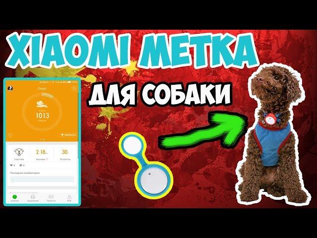 Фитнес трекер и электронная метка для твоей собаки Xiaomi Smart Dog Button Tag с сайта Gearbest!