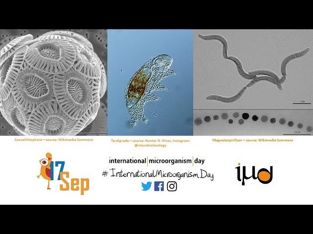 International Microorganism Day Live Stream (4/4)