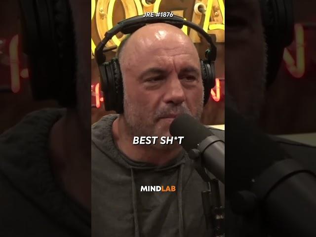 Joe Rogan On Tyson Fury & English Gypsies