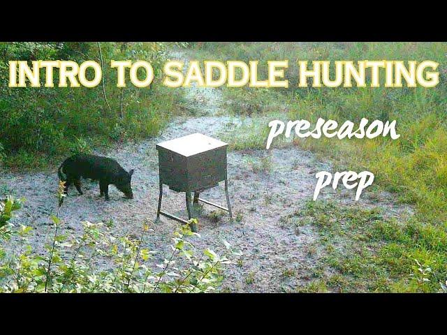 Intro to Saddle: My Preseason Prep.