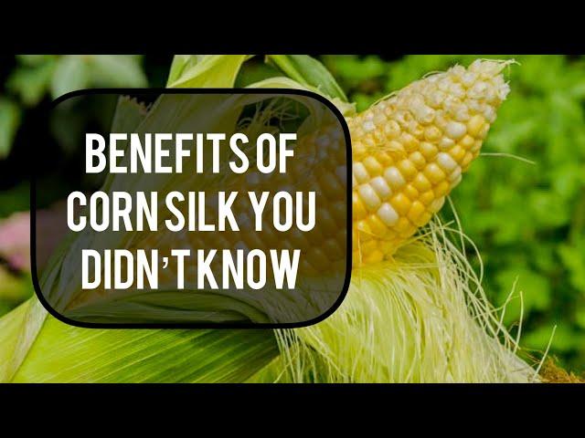 BENEFITS OF CORN SILK I BET YOU DIDN’T KNOW (must watch) #cornsilk #viralvideo #viral #explore