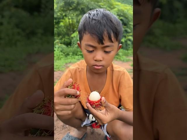 Survival Skills: SMART idea and USEFUL in Forest #bushcraft #camping #outdoors #survival p02