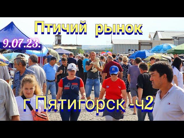 Pigeons prices Bird market Pyatigorsk - h2