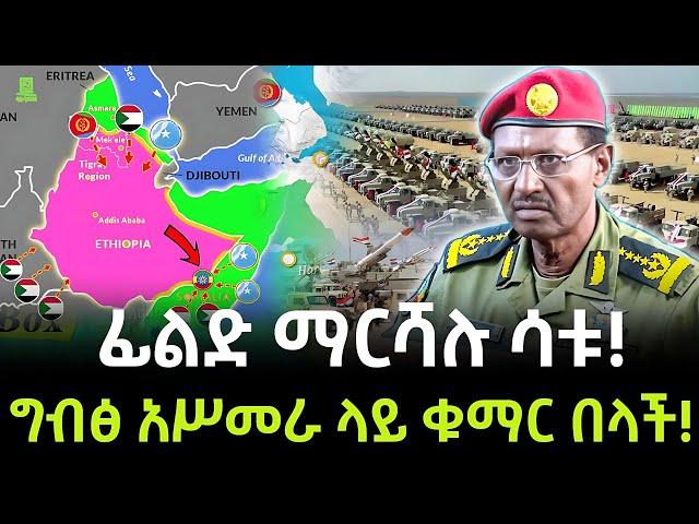 ካይሮና አስመራ ቁማሩን ተበሉ | ፊልድ ማርሻሉ ሳቱ ተረክ ሚዛን Salon Terek