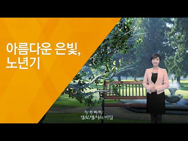 아름다운 은빛, 노년기 - (20121208_439회 방송)_웰에이징 2편 - 건강수명 100세 시대