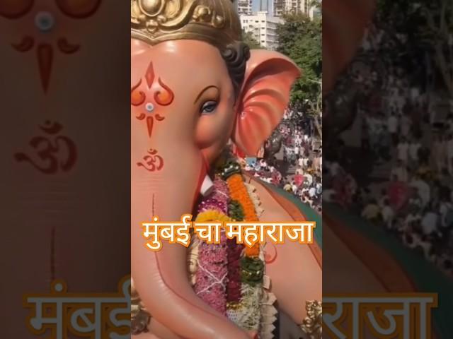 Mumbai Cha Maharaja 2024 #ganeshvisarjan #mumbai #mumbaichamaharaja #ganpatibappamorya