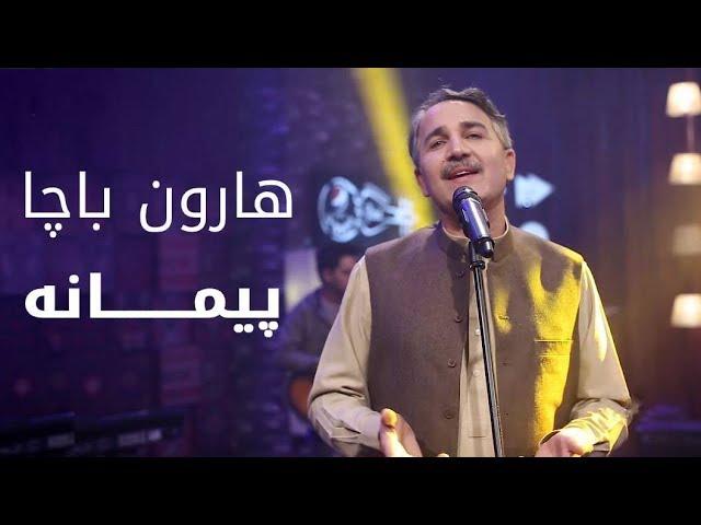 پیپسی ساز و سرود - هارون باچا - پیمانه / Pepsi’s Saaz O Surood - Haroon Bacha - Paymana