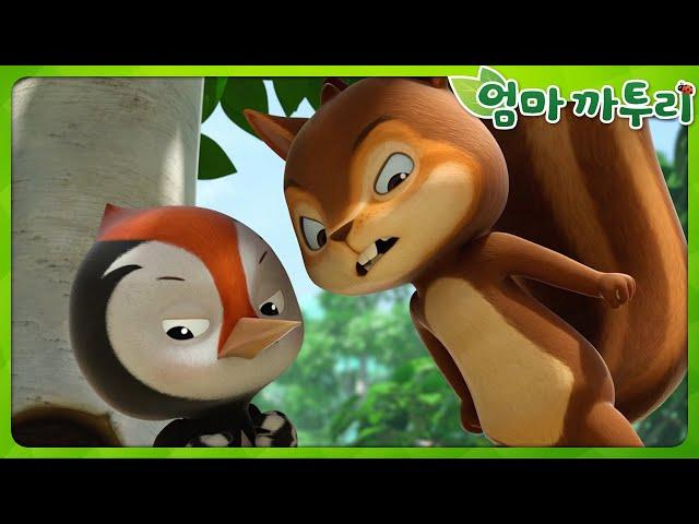 [엄마까투리 Best] 미안해! 내가 잘못했어! | 엄마 까투리 | 까투리 | Katuri | 베스트 에피소드 모음 제66화