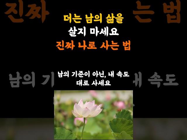 더는 남의 삶을 살지 마세요. 진짜 나로 사는 법 #명언 #긍정적마인드 #지혜 #인생조언